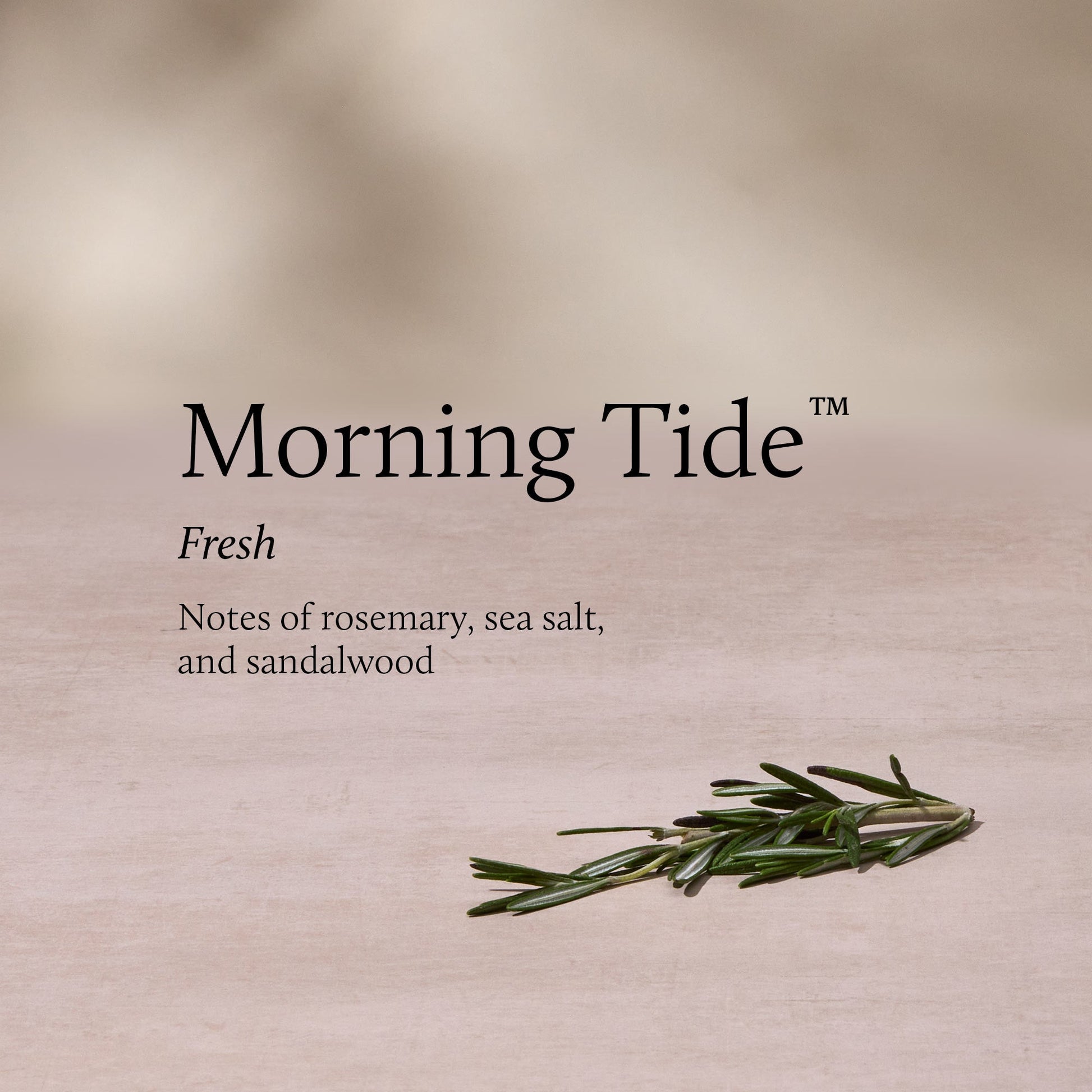 Morning Tide 6.5 oz Poured Candle