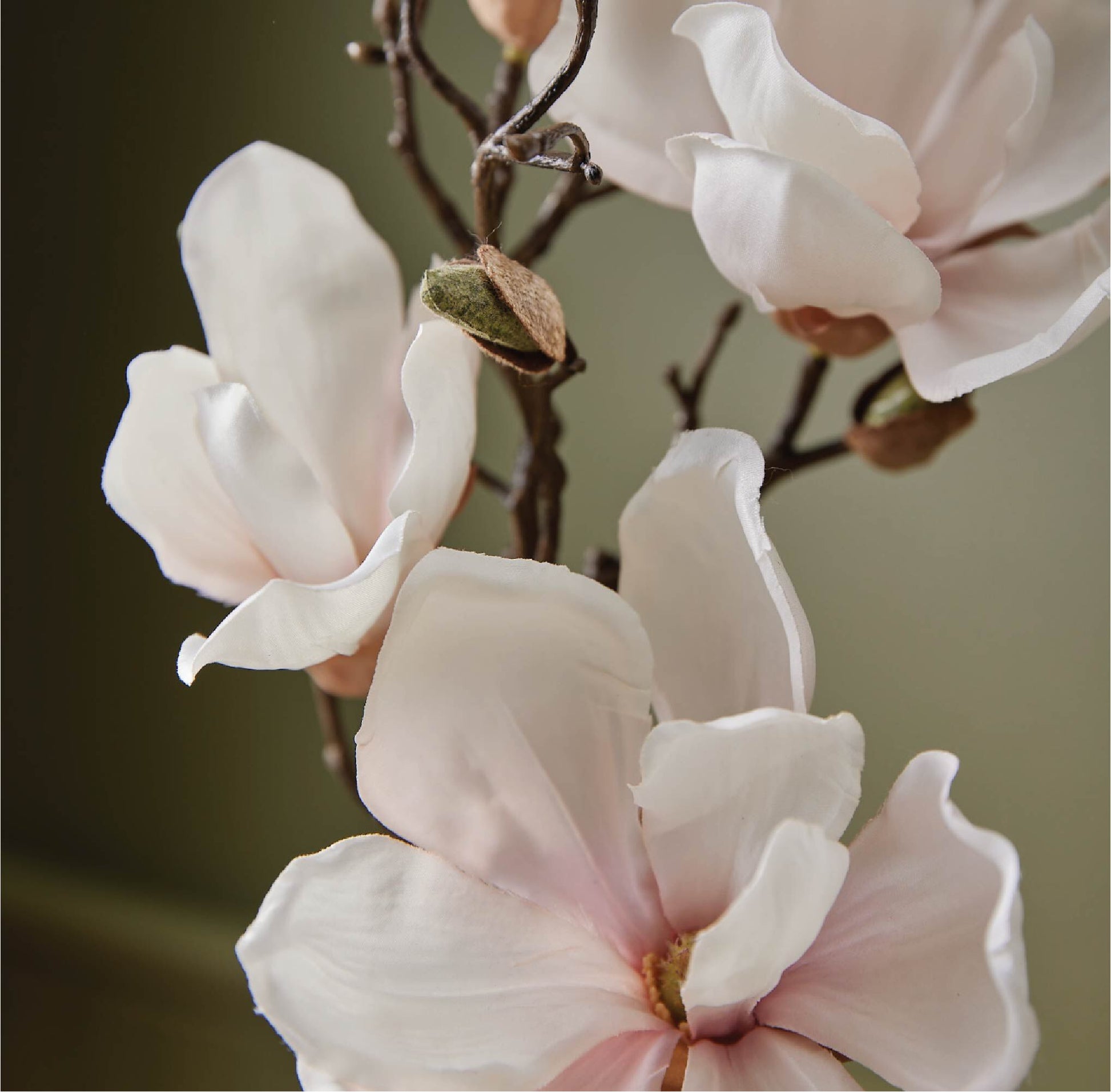 Magnolia Willow Hand Wash