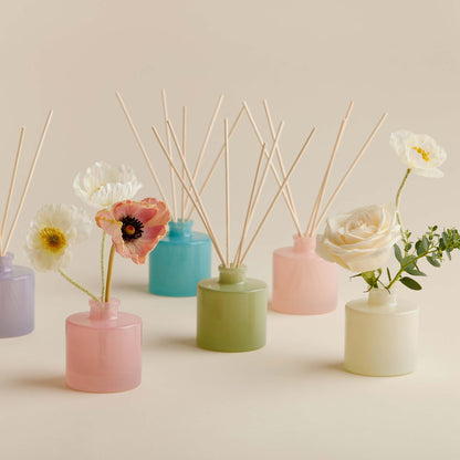 Aqua Coralline Petite Reed Diffuser